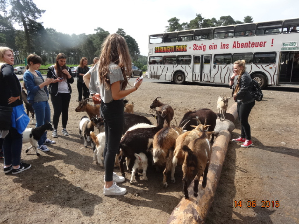 PODRÓŻE KSZTAŁCĄ - I LO W BRZEGU Z WIZYTĄ W NIEMCZECH