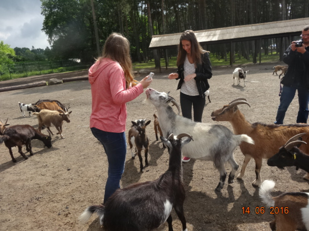 PODRÓŻE KSZTAŁCĄ - I LO W BRZEGU Z WIZYTĄ W NIEMCZECH