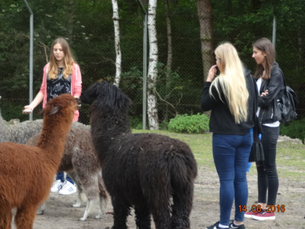 PODRÓŻE KSZTAŁCĄ - I LO W BRZEGU Z WIZYTĄ W NIEMCZECH