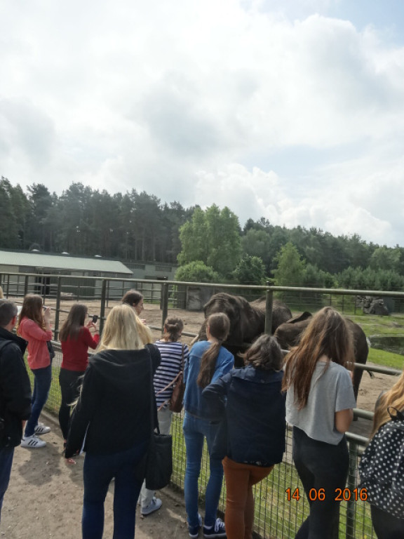 PODRÓŻE KSZTAŁCĄ - I LO W BRZEGU Z WIZYTĄ W NIEMCZECH