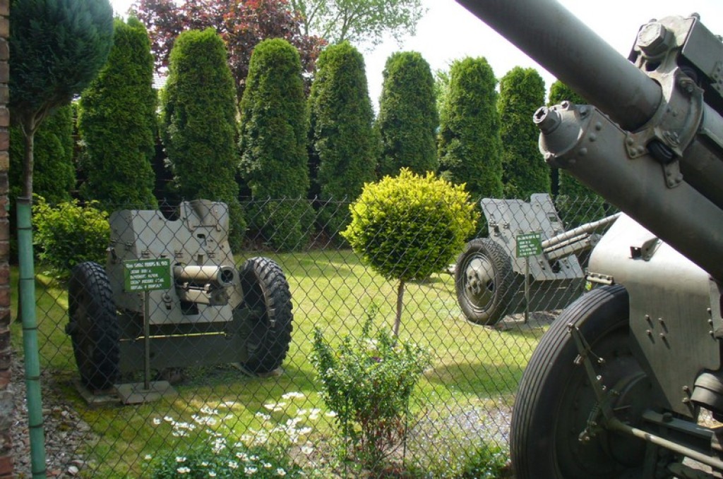 Brzeżanie na konferencji popularnonaukowej  