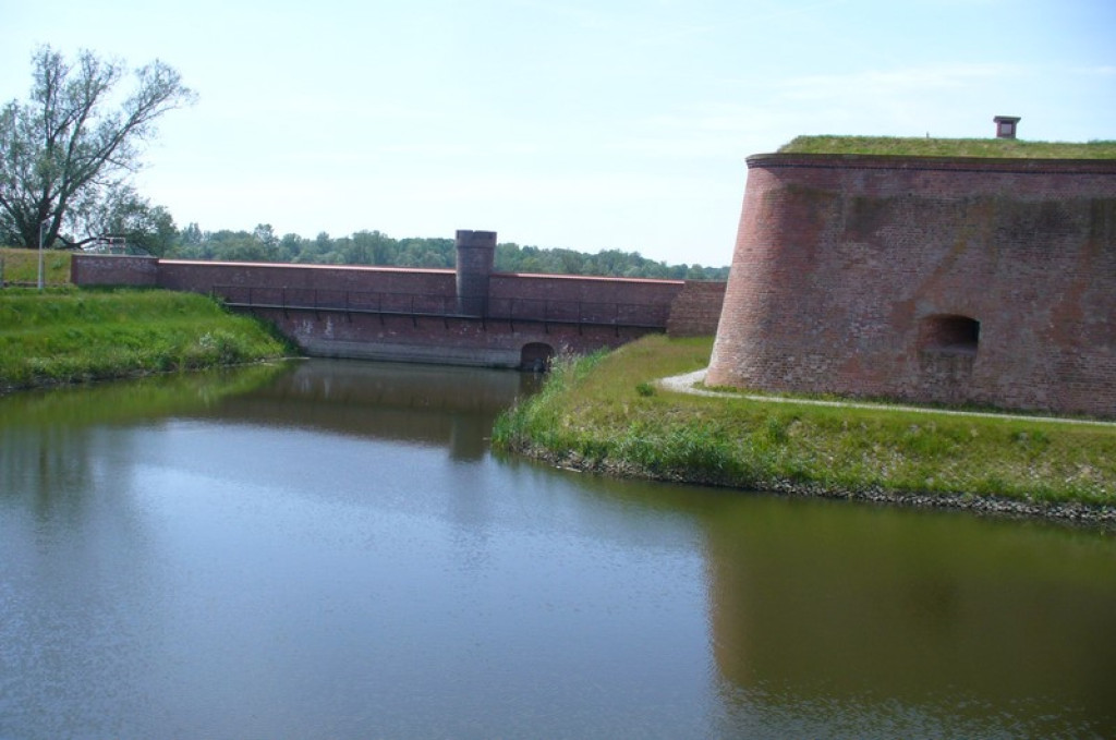 Brzeżanie na konferencji popularnonaukowej  