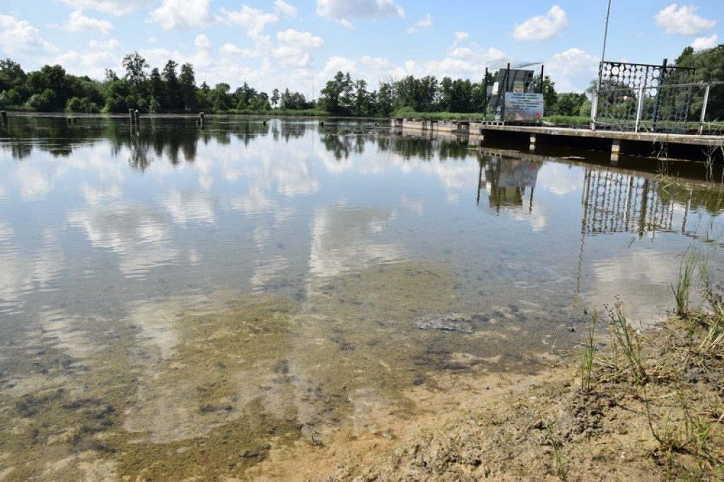 Trwa rekultywacja wody na Korfantego. We wrześniu wizytacja basenu