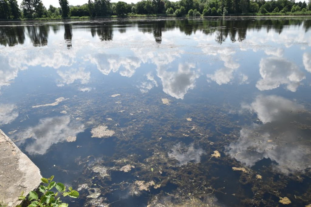 Trwa rekultywacja wody na Korfantego. We wrześniu wizytacja basenu