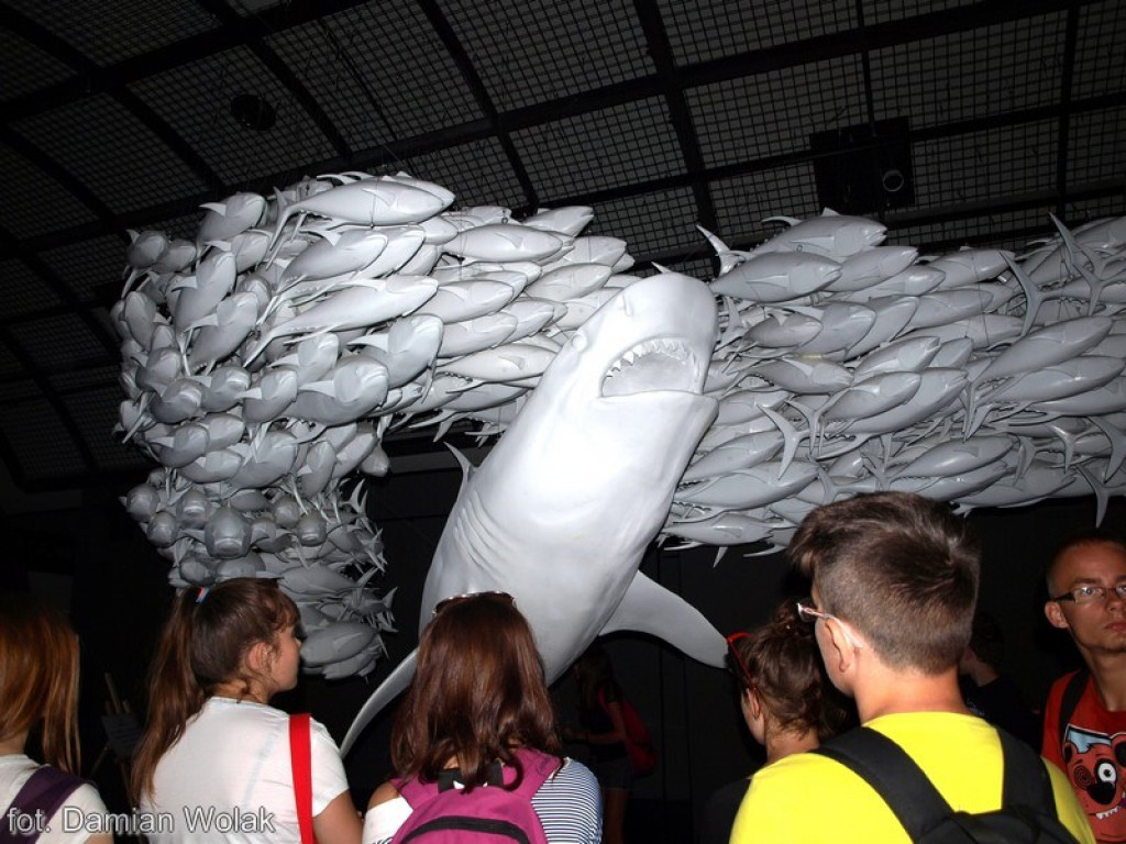 Wszystko zaczęło się od wody