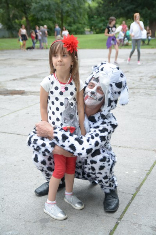 W Grodkowie zbierali karmę dla zwierząt