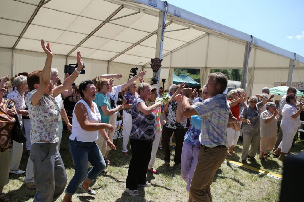 OSP Mąkoszyce na wojewódzkich obchodach Światowego Dnia Inwalidy