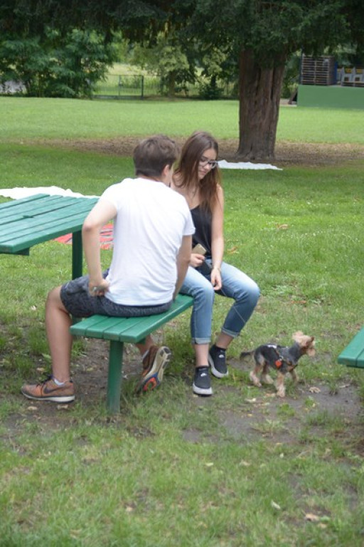 W Grodkowie zbierali karmę dla zwierząt