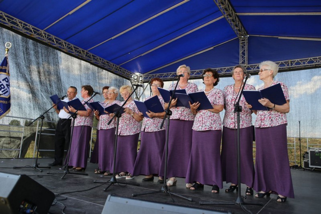 OSP Mąkoszyce na wojewódzkich obchodach Światowego Dnia Inwalidy