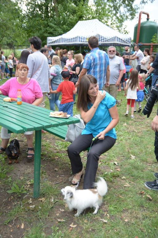 W Grodkowie zbierali karmę dla zwierząt