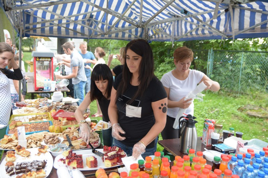 W Grodkowie zbierali karmę dla zwierząt