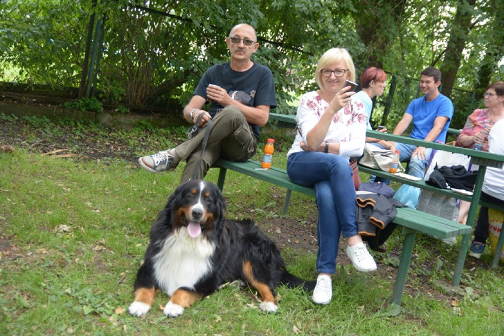 W Grodkowie zbierali karmę dla zwierząt