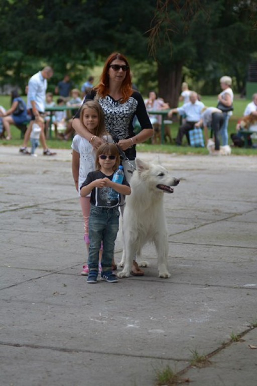 W Grodkowie zbierali karmę dla zwierząt