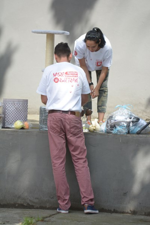 W Grodkowie zbierali karmę dla zwierząt