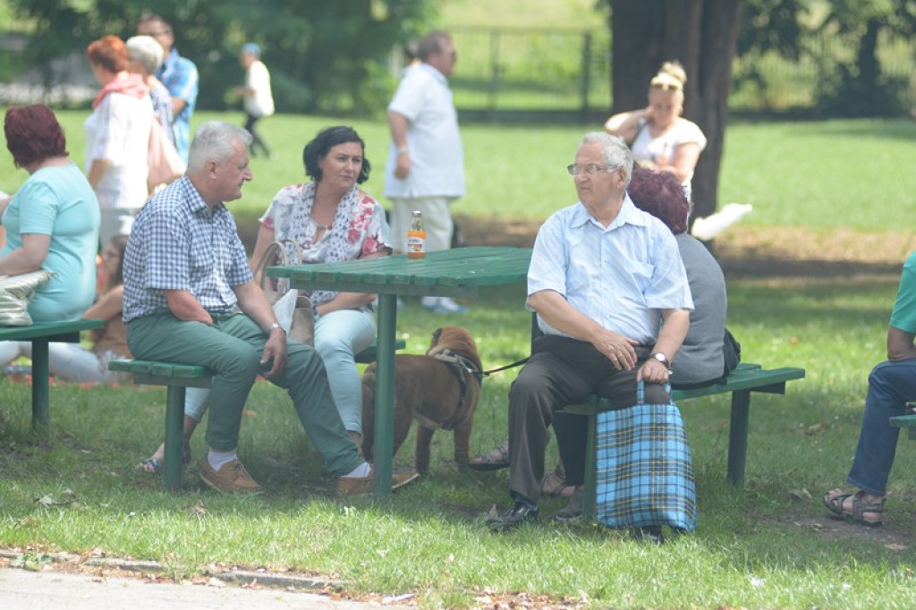 W Grodkowie zbierali karmę dla zwierząt