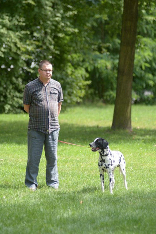 W Grodkowie zbierali karmę dla zwierząt