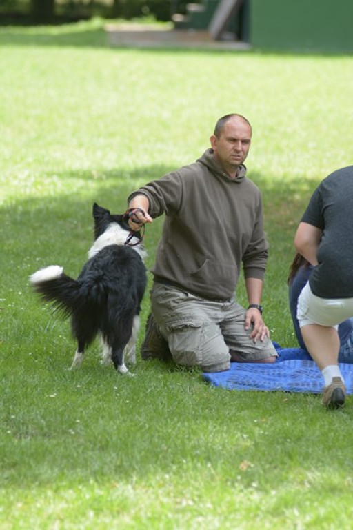 W Grodkowie zbierali karmę dla zwierząt