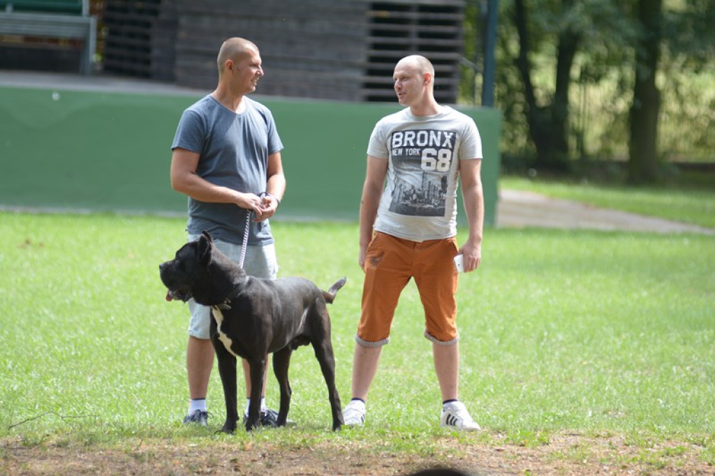 W Grodkowie zbierali karmę dla zwierząt