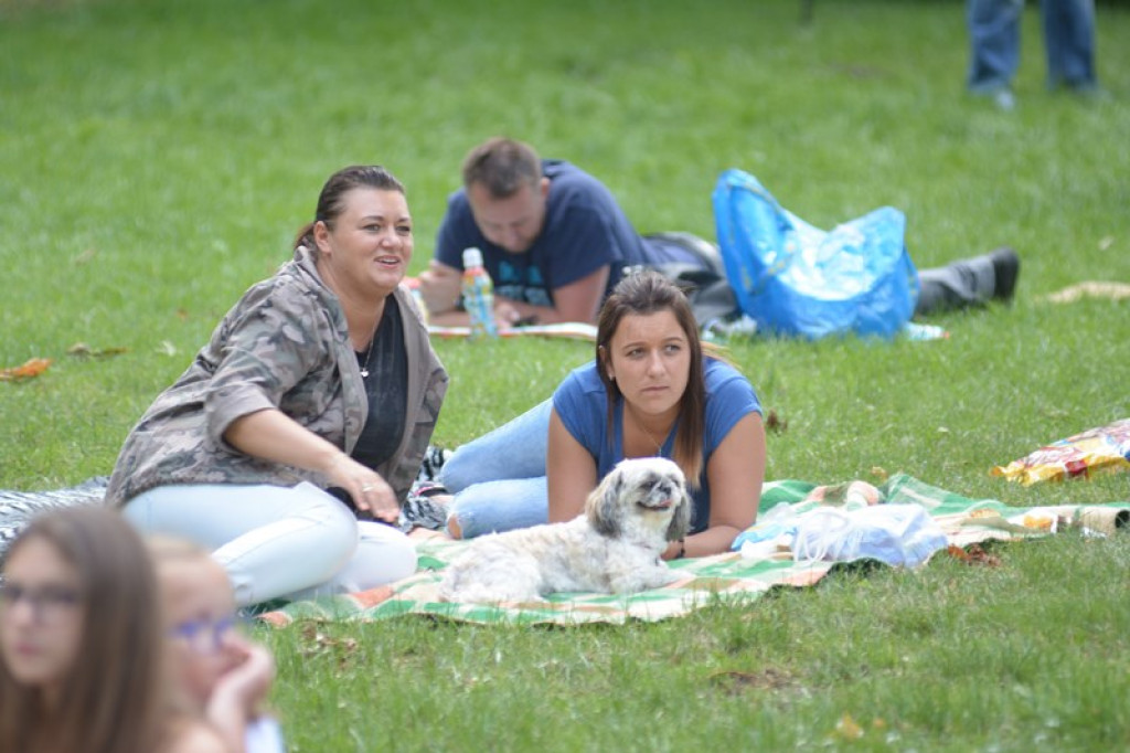 W Grodkowie zbierali karmę dla zwierząt