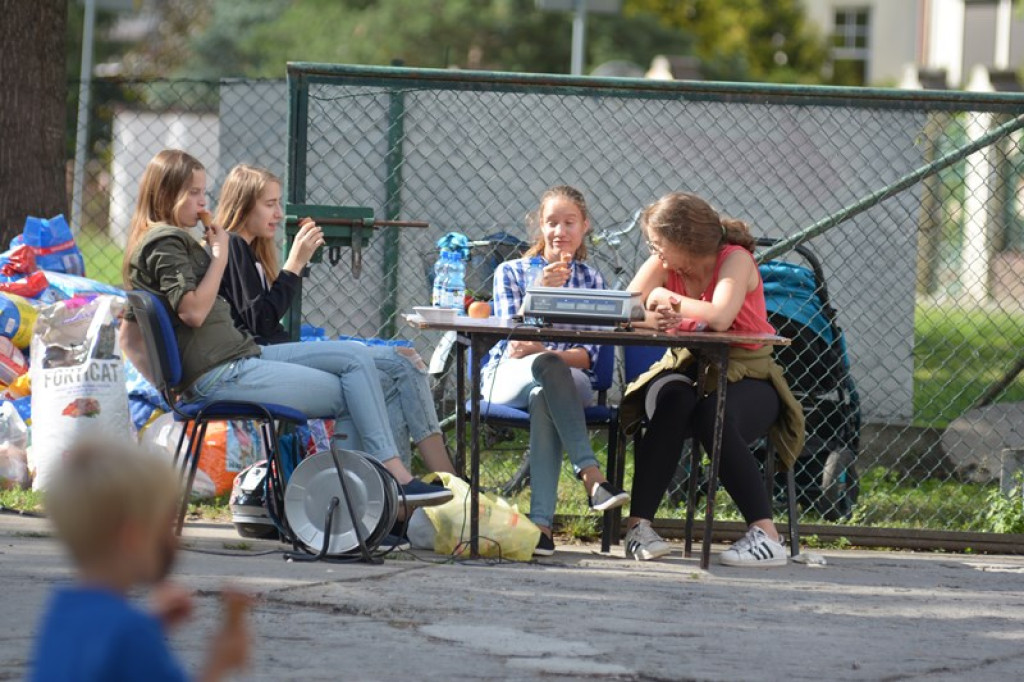 W Grodkowie zbierali karmę dla zwierząt