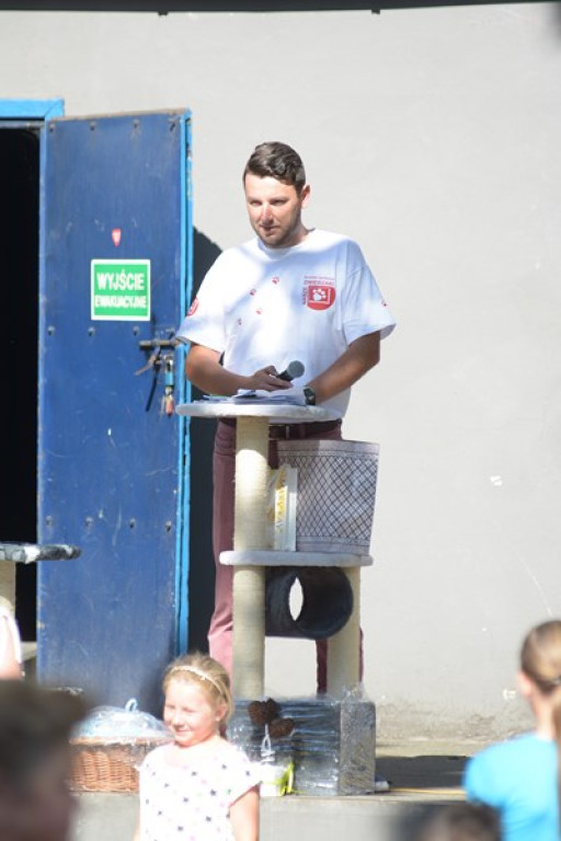 W Grodkowie zbierali karmę dla zwierząt