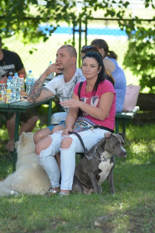 W Grodkowie zbierali karmę dla zwierząt