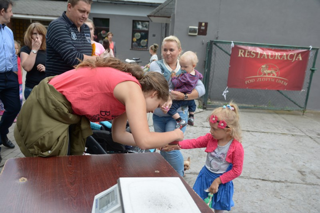 W Grodkowie zbierali karmę dla zwierząt