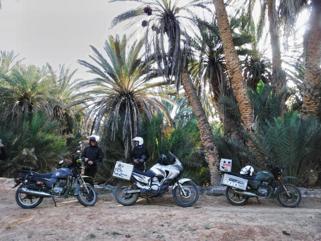 Marzenie o Senegalu -wywiad z Piotrkiem Cynglem