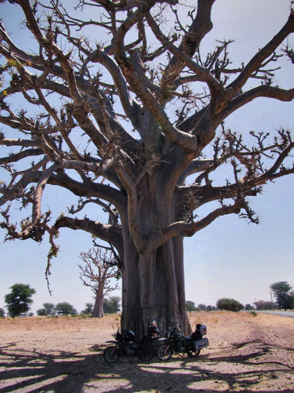 Marzenie o Senegalu -wywiad z Piotrkiem Cynglem