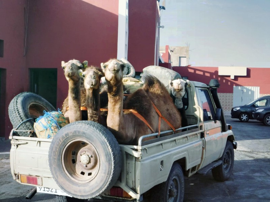 Marzenie o Senegalu -wywiad z Piotrkiem Cynglem