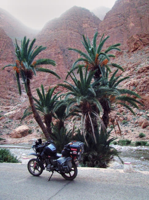 Marzenie o Senegalu -wywiad z Piotrkiem Cynglem