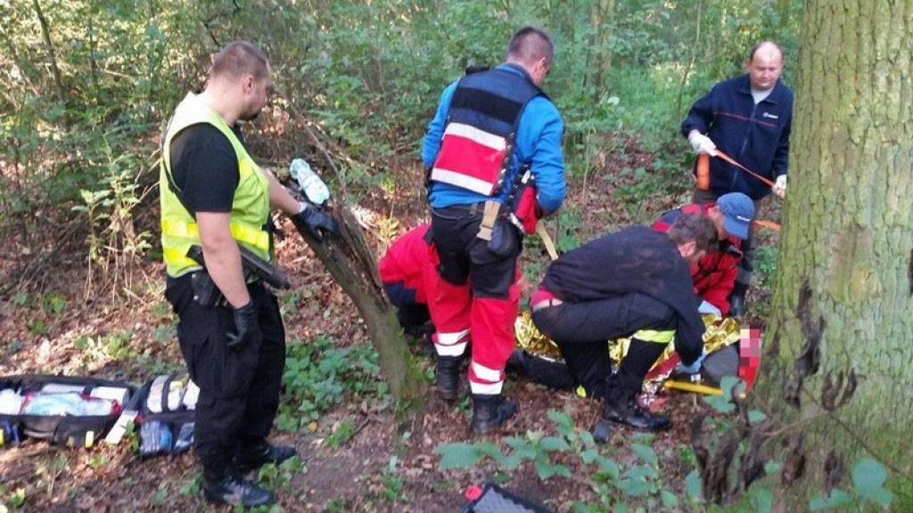 Pies Buddy z SPR OSP Lipki odnalazł zaginionego mężczyznę