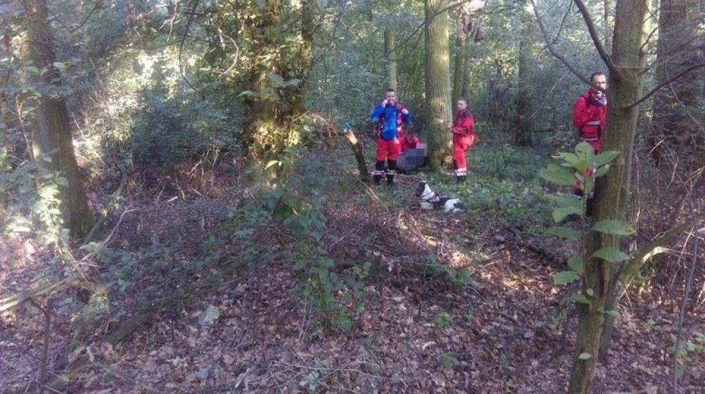 Pies Buddy z SPR OSP Lipki odnalazł zaginionego mężczyznę