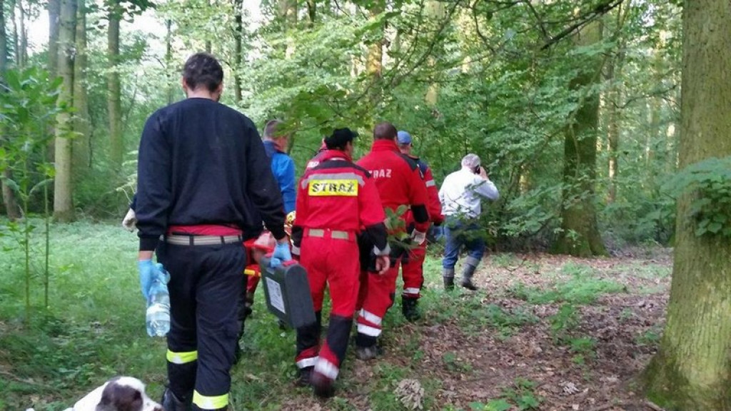 Pies Buddy z SPR OSP Lipki odnalazł zaginionego mężczyznę