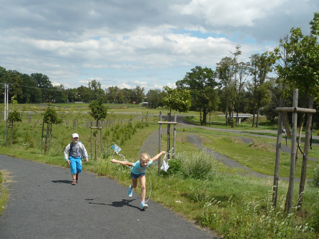 Kolekcjonerzy Wrażeń