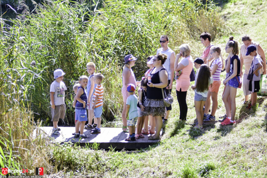Piknik Piratów w Grodkowie [fotorelacja]
