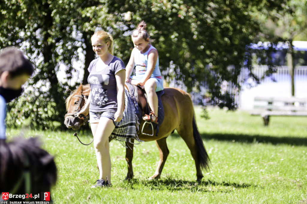 Piknik Piratów w Grodkowie [fotorelacja]