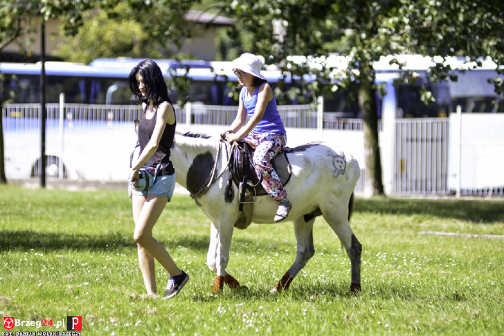 Piknik Piratów w Grodkowie [fotorelacja]