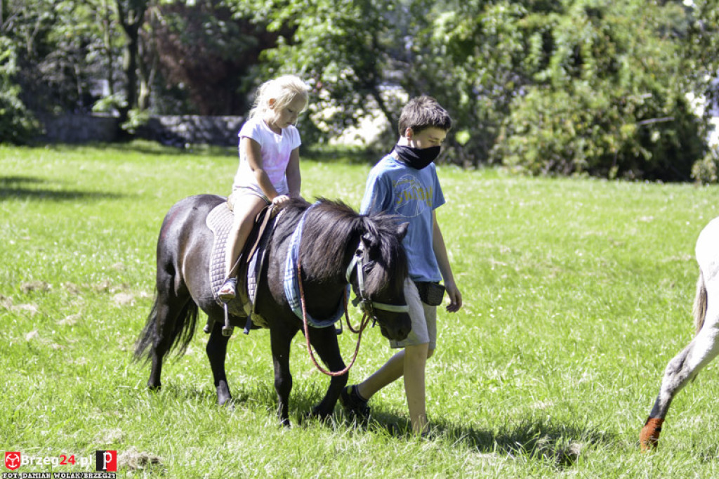 Piknik Piratów w Grodkowie [fotorelacja]