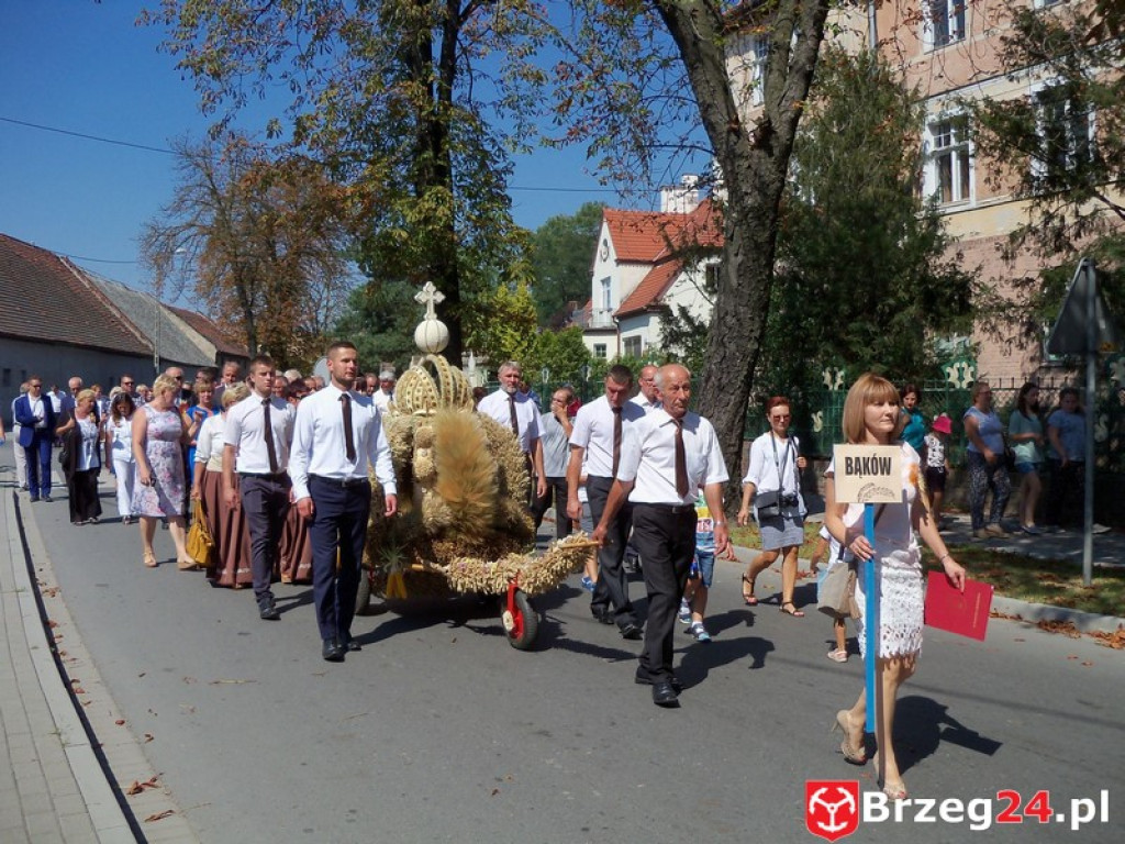 Dożynki w Grodkowie [fotorelacja]