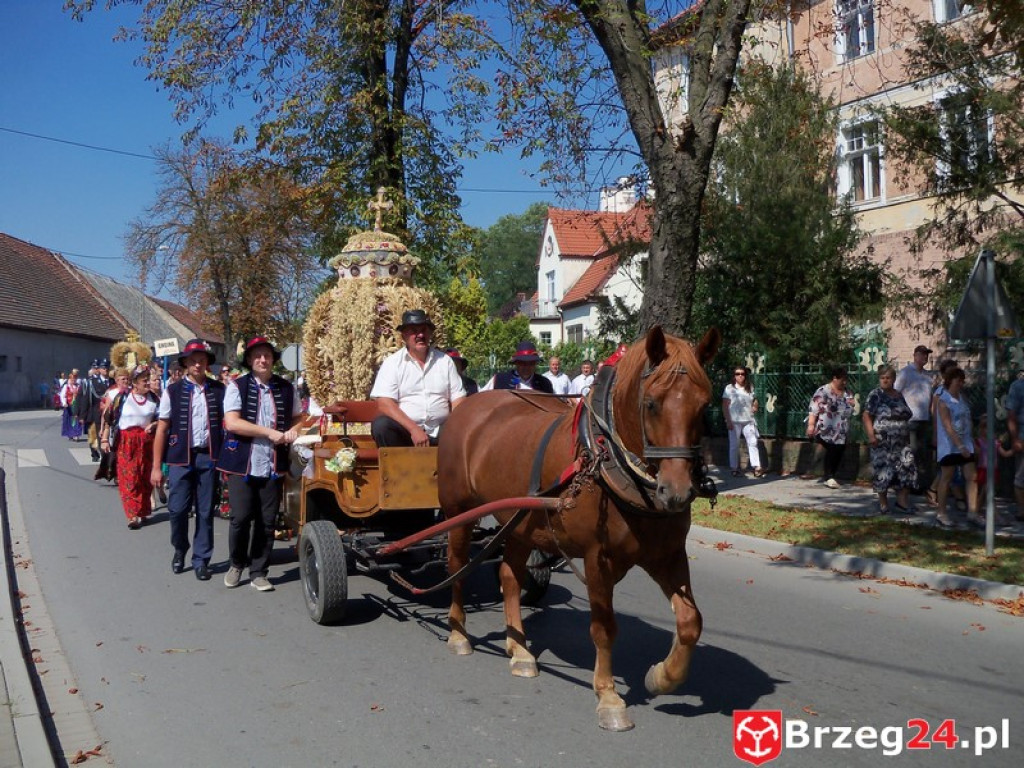 Dożynki w Grodkowie [fotorelacja]