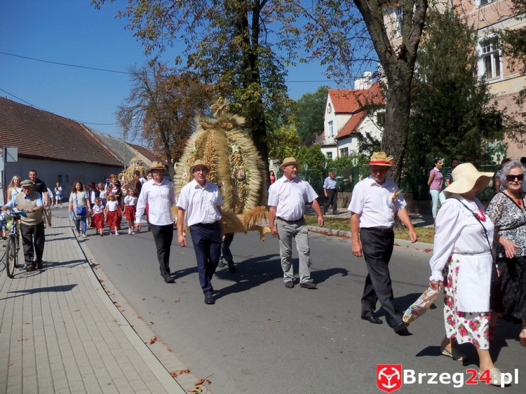 Dożynki w Grodkowie [fotorelacja]
