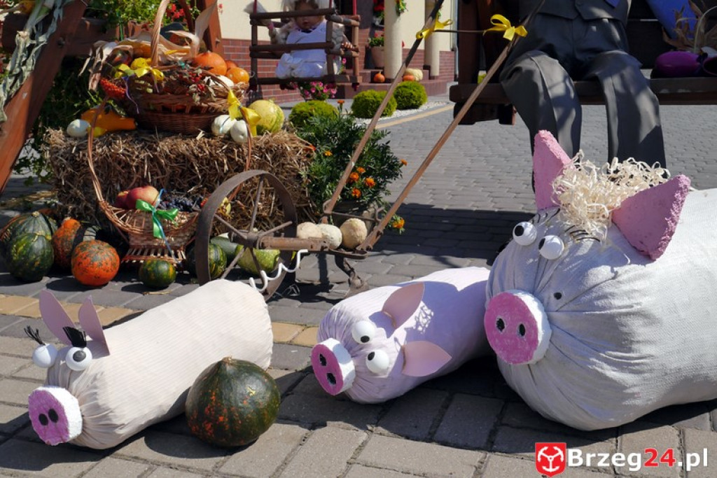 Gierszowice triumfowały u siebie - Fotorelacja z dożynkowego konkursu na najpiękniejszą koronę żniwną i na najładniejszą dekorację