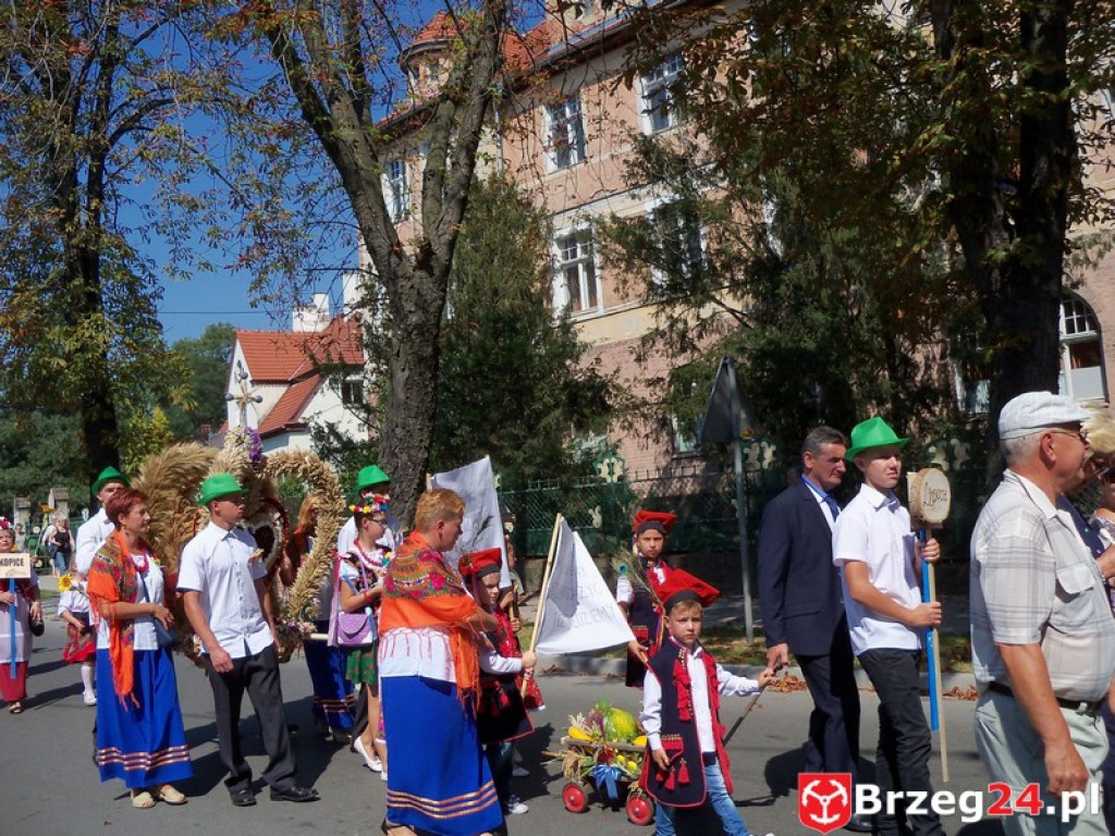 Dożynki w Grodkowie [fotorelacja]