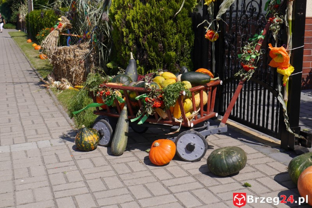 Gierszowice triumfowały u siebie - Fotorelacja z dożynkowego konkursu na najpiękniejszą koronę żniwną i na najładniejszą dekorację