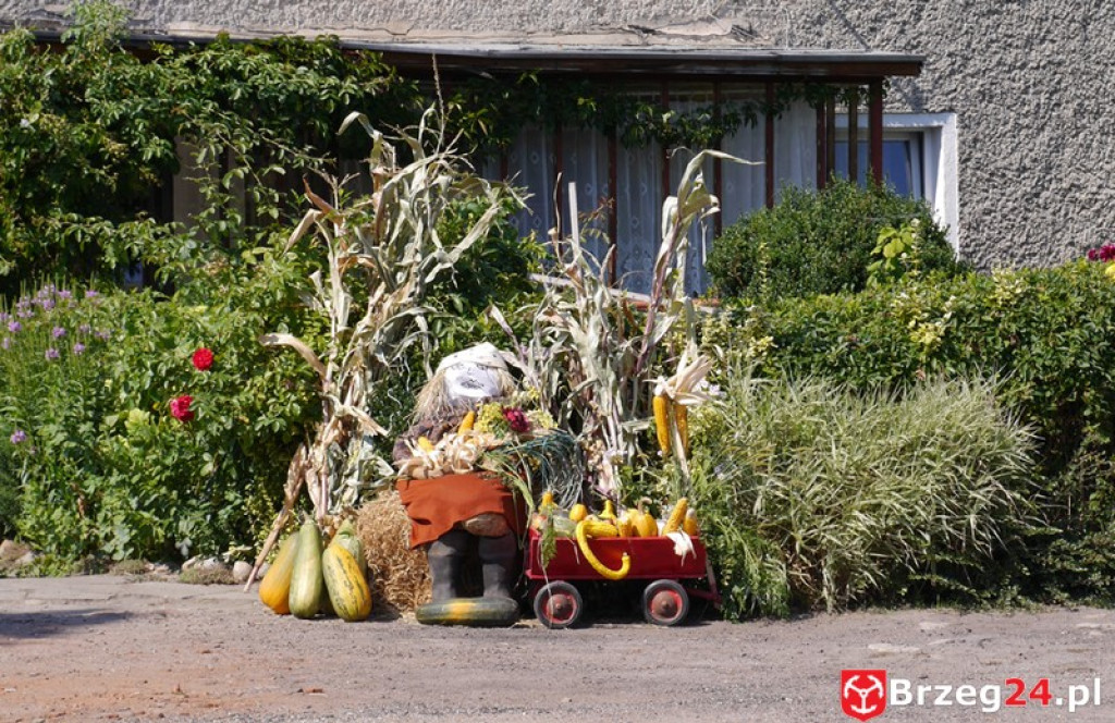 Gierszowice triumfowały u siebie - Fotorelacja z dożynkowego konkursu na najpiękniejszą koronę żniwną i na najładniejszą dekorację