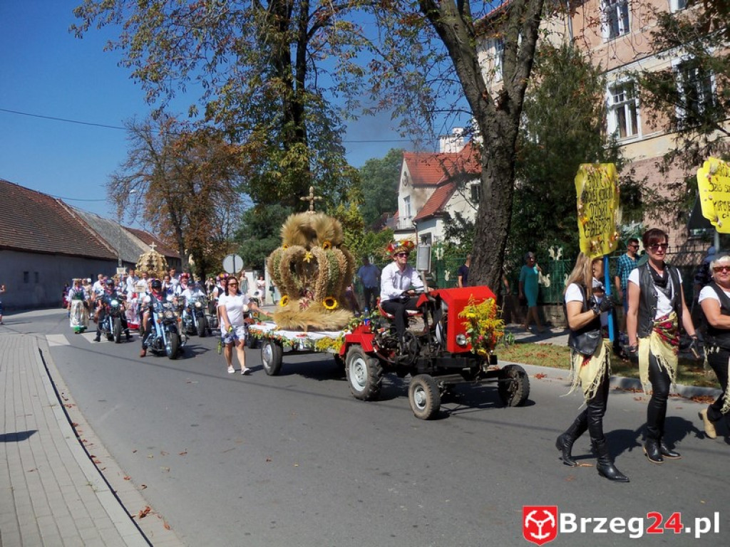 Dożynki w Grodkowie [fotorelacja]