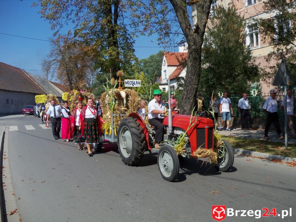 Dożynki w Grodkowie [fotorelacja]