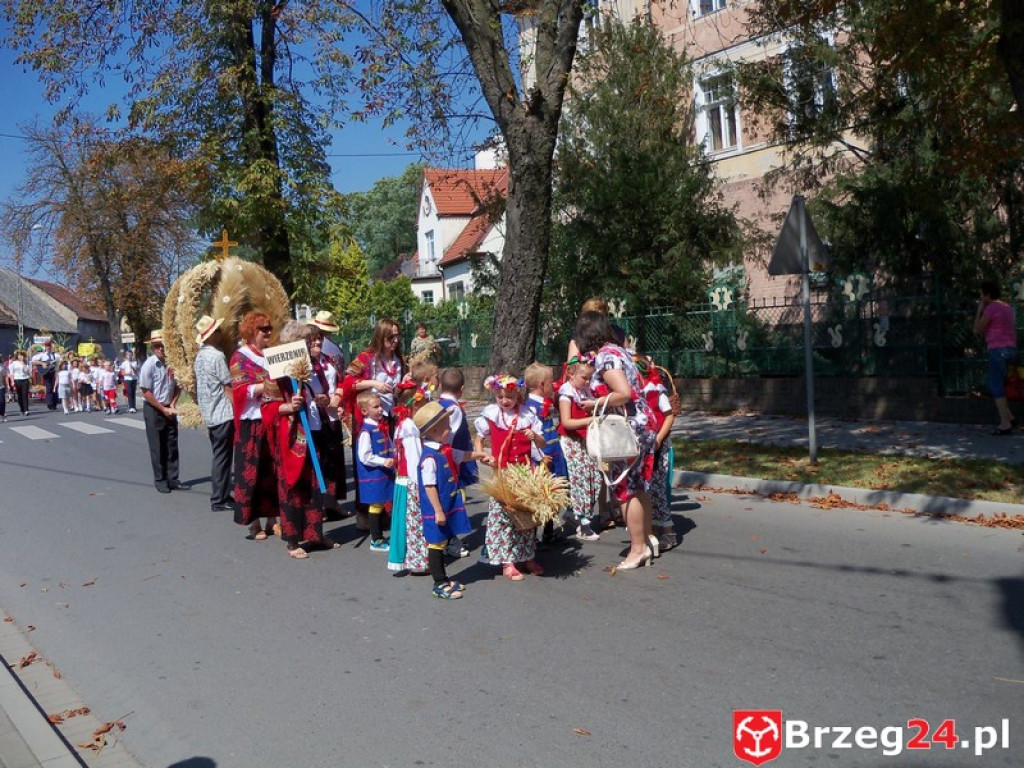 Dożynki w Grodkowie [fotorelacja]