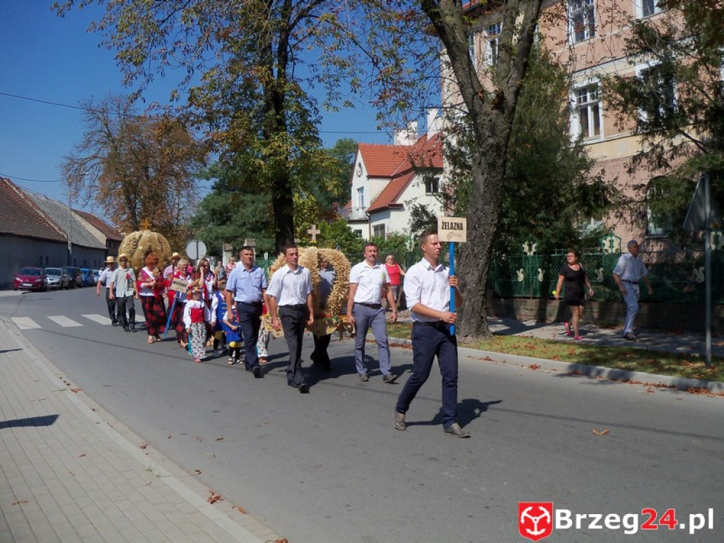 Dożynki w Grodkowie [fotorelacja]